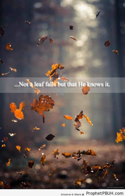 He knows - Islamic Quotes, Hadiths, Duas