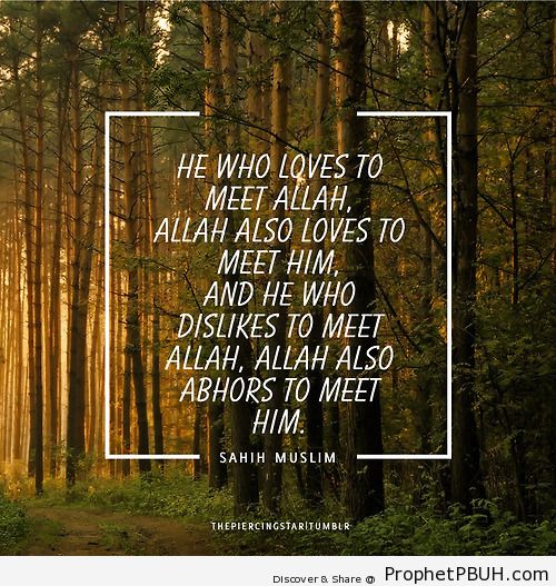 He who loves to meet Allah - Islamic Quotes, Hadiths, Duas