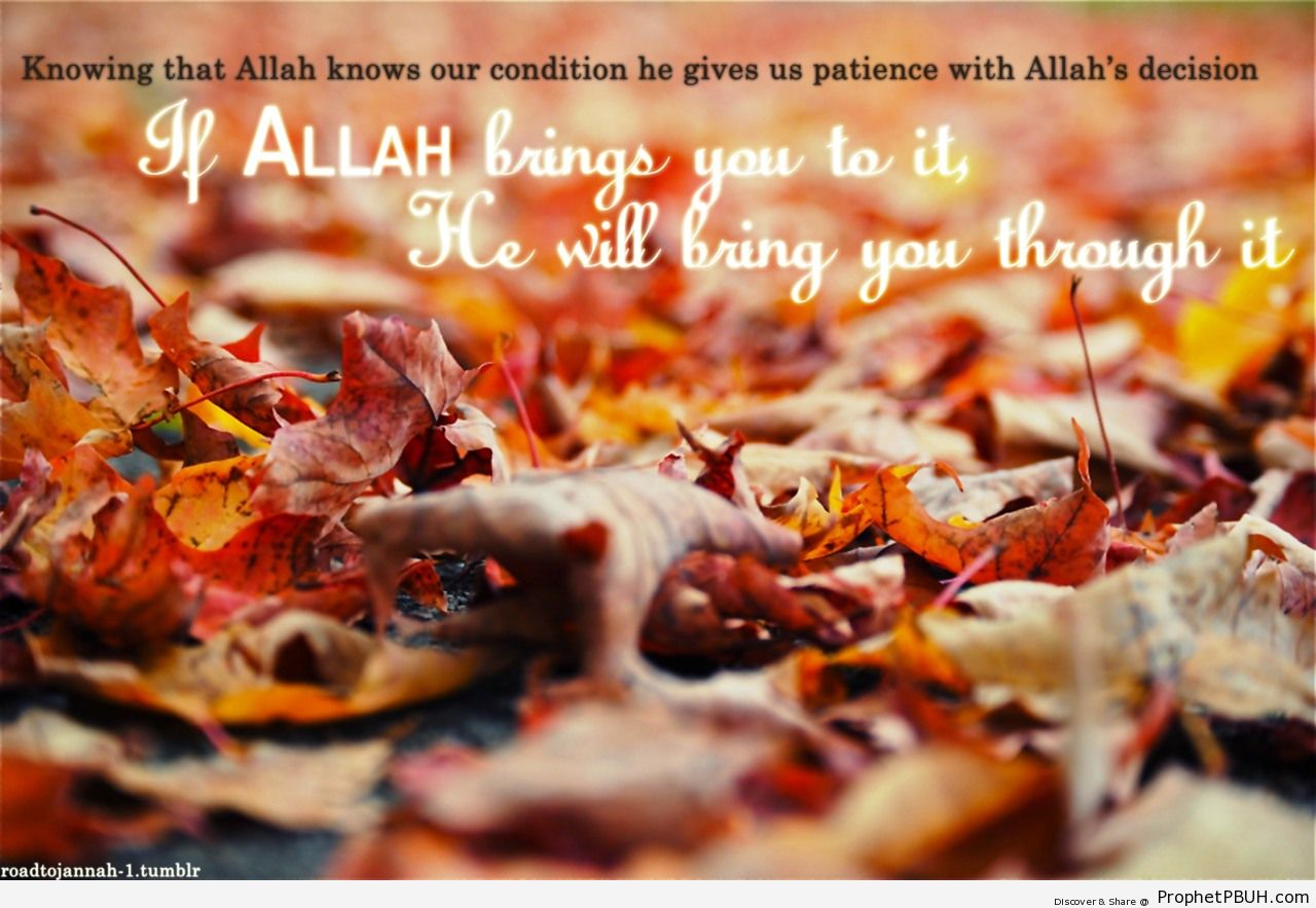 If Allah brings you to it - Islamic Quotes, Hadiths, Duas-001