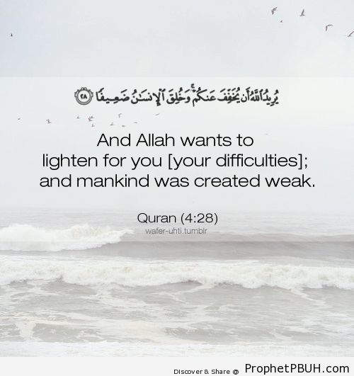 Lighten - Islamic Quotes, Hadiths, Duas