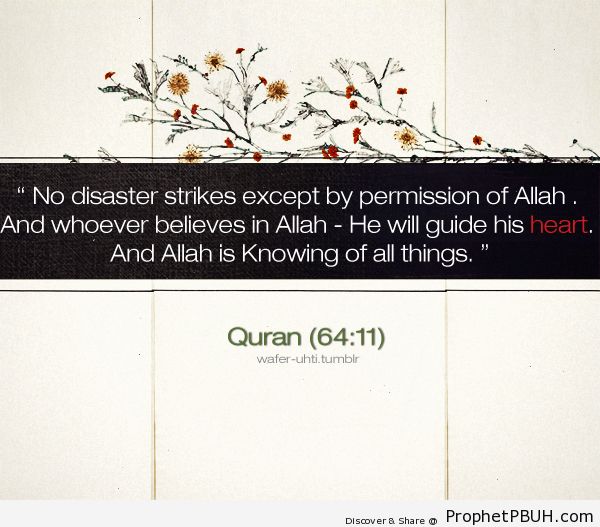 The All Knowing - Islamic Quotes, Hadiths, Duas