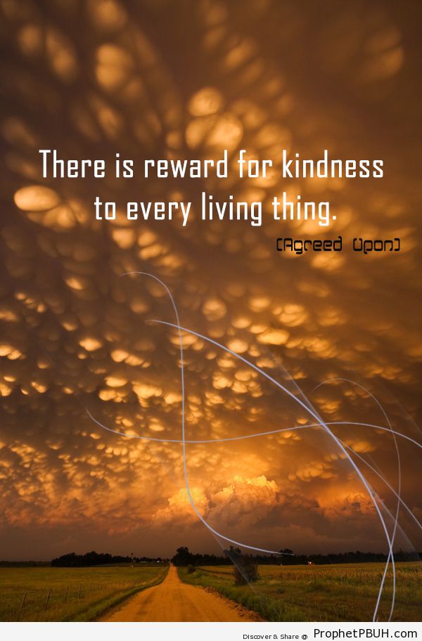 There is reward for kindness to every living... - Islamic Quotes, Hadiths, Duas-001