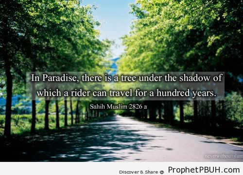 Tree - Islamic Quotes, Hadiths, Duas