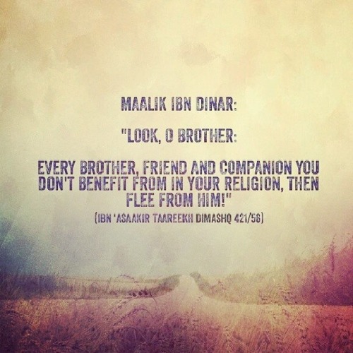Advice from Maalik Ibn Dinar