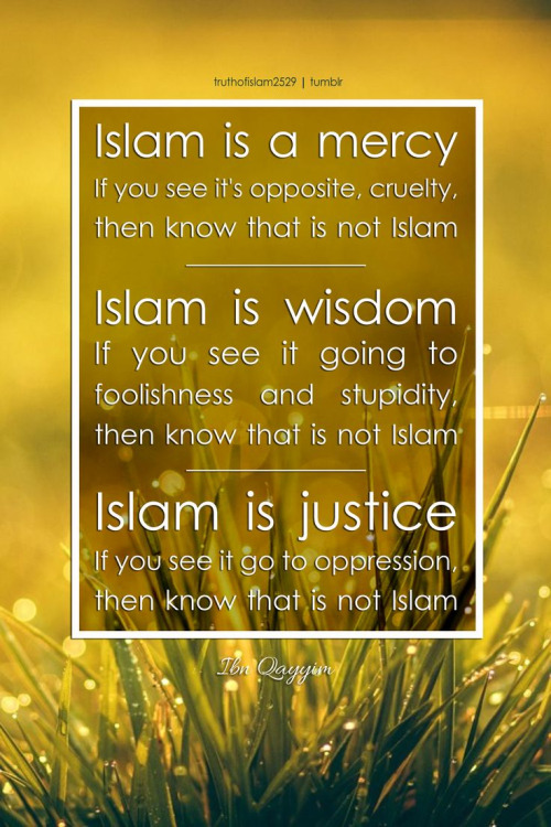 Islam is mercy, wisdom, justice...