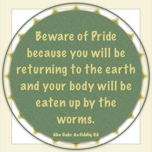 Beware of pride