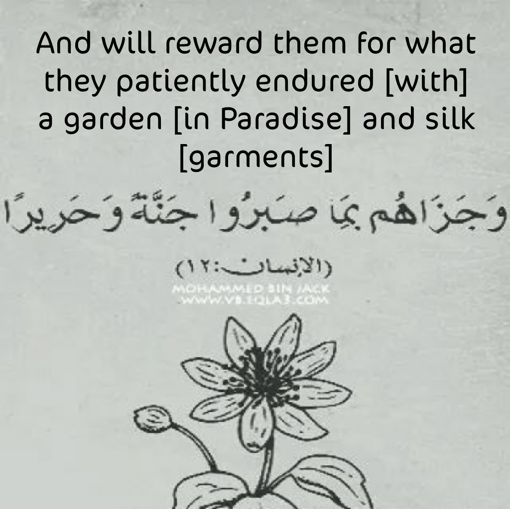 And will reward them for what they patiently endured [with] a garden [in Paradise] and silk [garments]