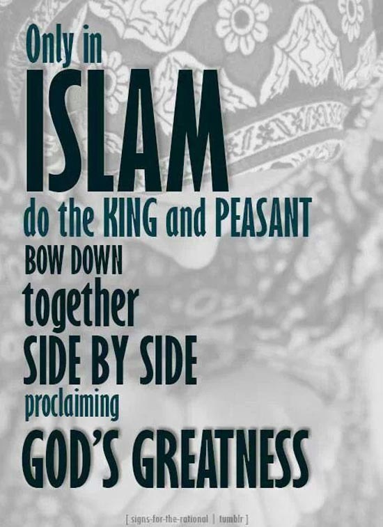 Beautiful Islamic Quote
